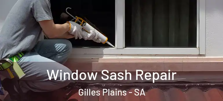 Window Sash Repair Gilles Plains - SA