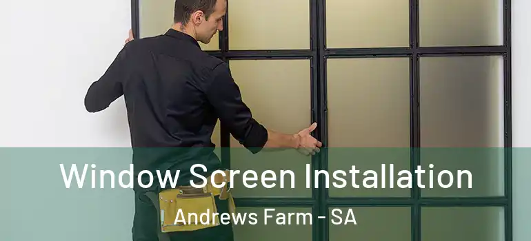 Window Screen Installation Andrews Farm - SA