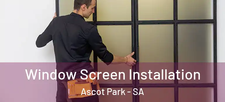 Window Screen Installation Ascot Park - SA