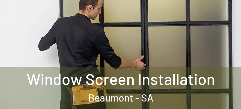 Window Screen Installation Beaumont - SA