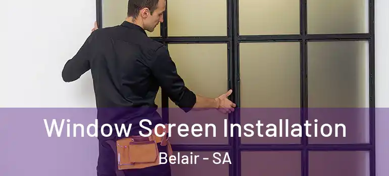 Window Screen Installation Belair - SA