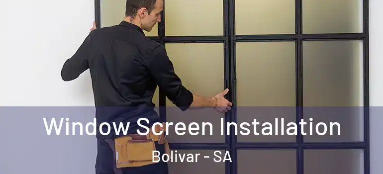Window Screen Installation Bolivar - SA