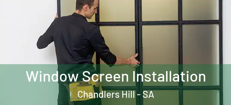 Window Screen Installation Chandlers Hill - SA