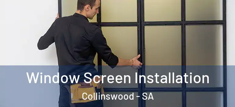 Window Screen Installation Collinswood - SA