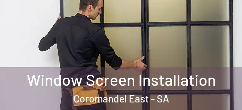 Window Screen Installation Coromandel East - SA