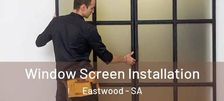 Window Screen Installation Eastwood - SA