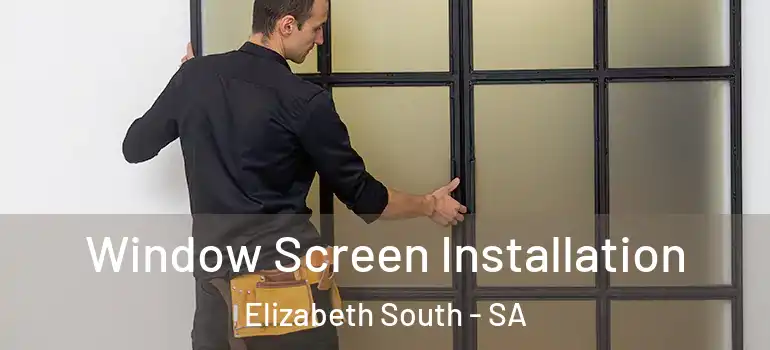 Window Screen Installation Elizabeth South - SA