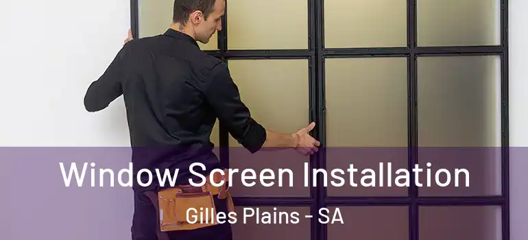 Window Screen Installation Gilles Plains - SA
