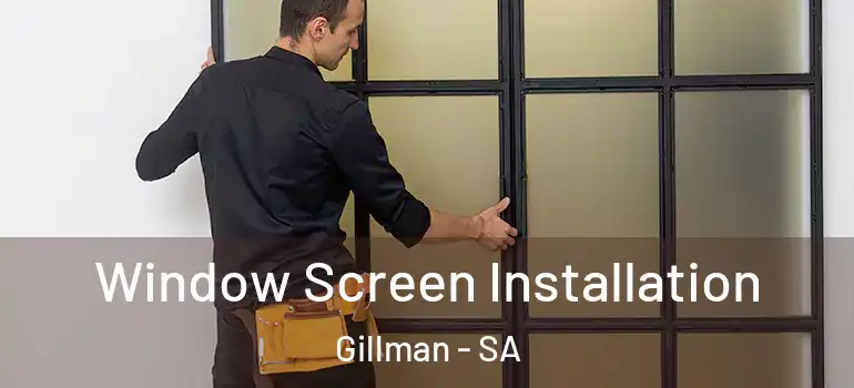 Window Screen Installation Gillman - SA