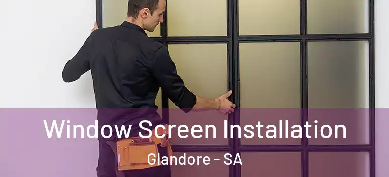 Window Screen Installation Glandore - SA