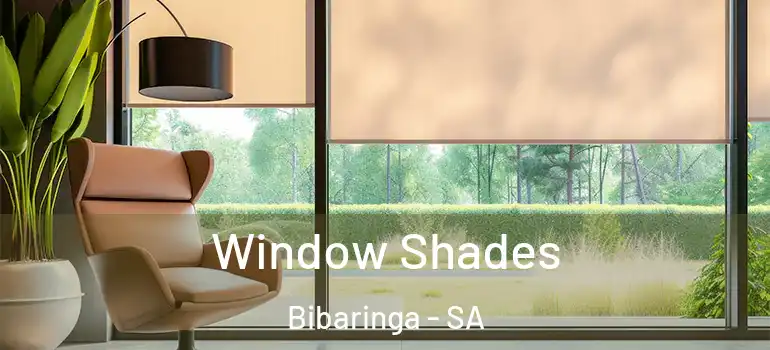 Window Shades Bibaringa - SA
