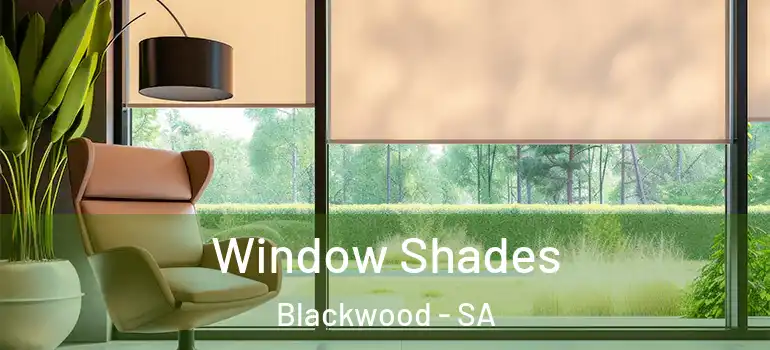 Window Shades Blackwood - SA