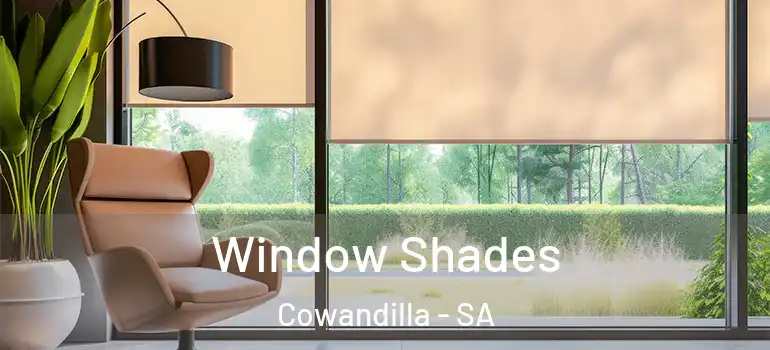 Window Shades Cowandilla - SA