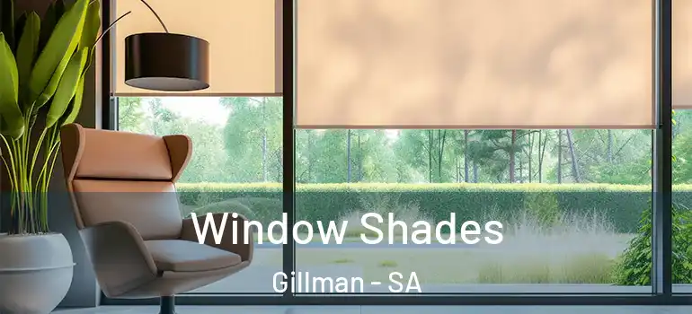 Window Shades Gillman - SA