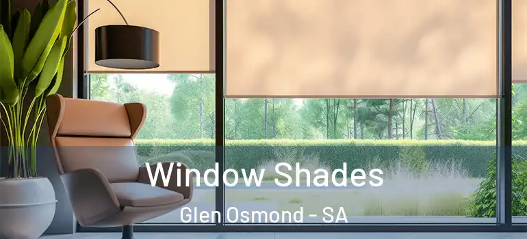 Window Shades Glen Osmond - SA