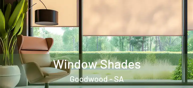 Window Shades Goodwood - SA