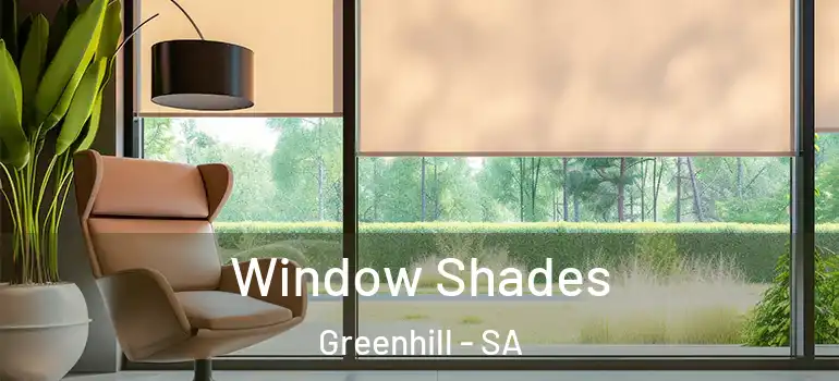 Window Shades Greenhill - SA