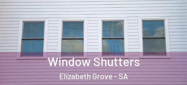 Window Shutters Elizabeth Grove - SA