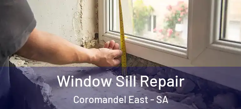Window Sill Repair Coromandel East - SA