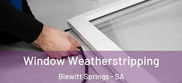 Window Weatherstripping Blewitt Springs - SA