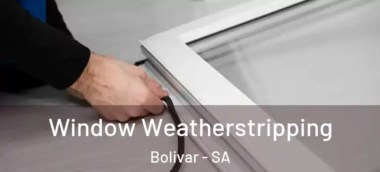 Window Weatherstripping Bolivar - SA