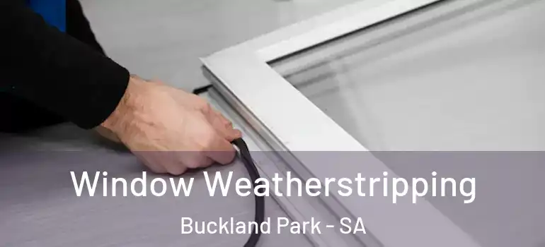 Window Weatherstripping Buckland Park - SA