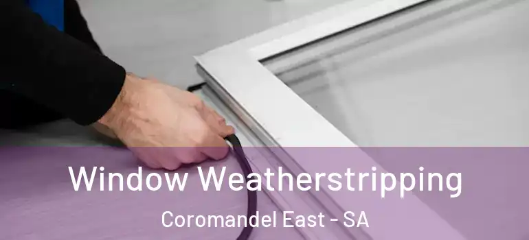 Window Weatherstripping Coromandel East - SA
