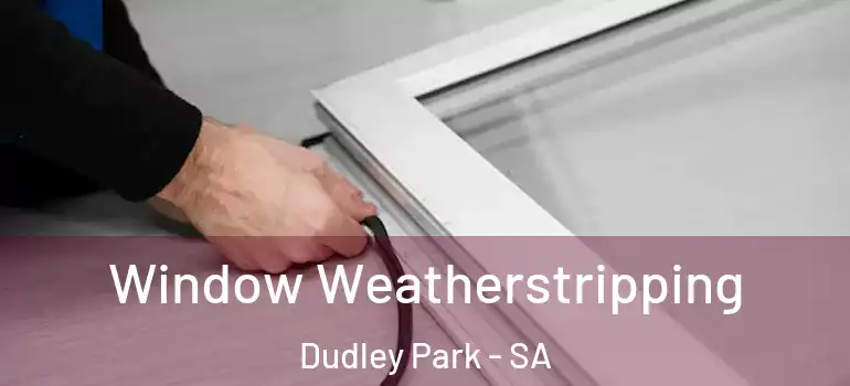 Window Weatherstripping Dudley Park - SA