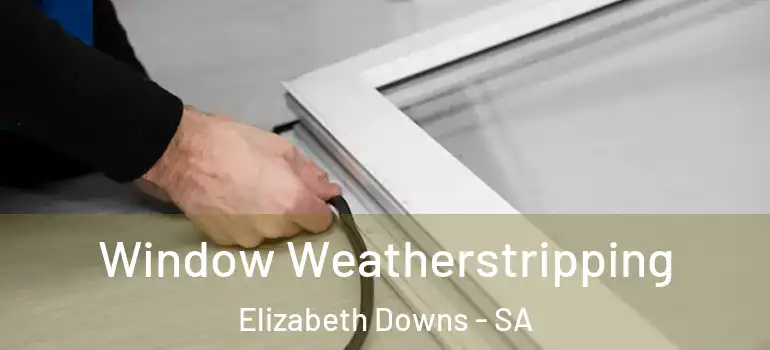 Window Weatherstripping Elizabeth Downs - SA