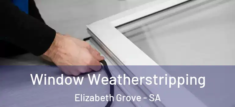 Window Weatherstripping Elizabeth Grove - SA