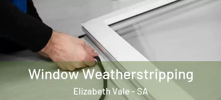 Window Weatherstripping Elizabeth Vale - SA