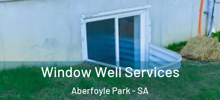 Window Well Services Aberfoyle Park - SA