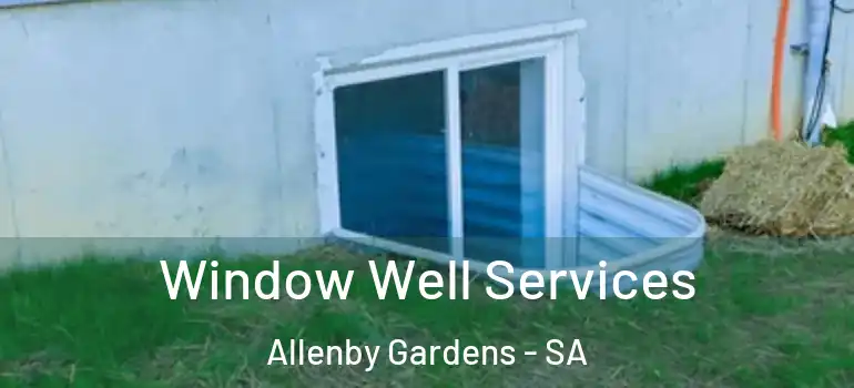 Window Well Services Allenby Gardens - SA
