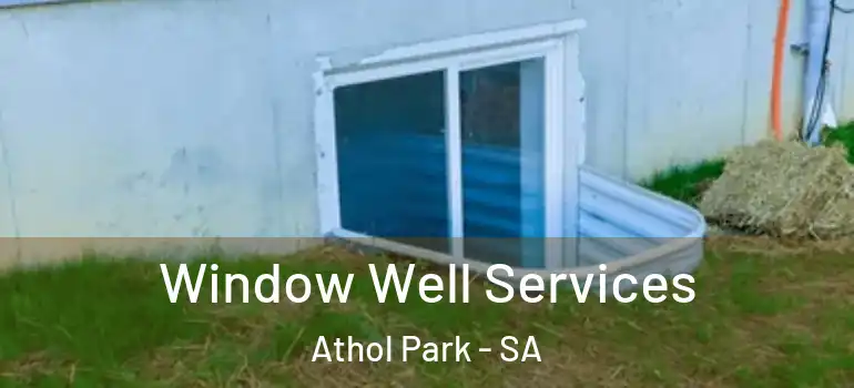 Window Well Services Athol Park - SA