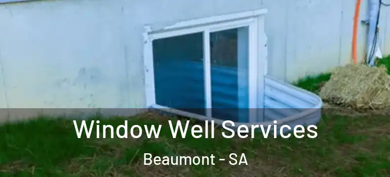 Window Well Services Beaumont - SA