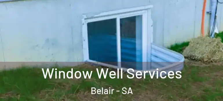 Window Well Services Belair - SA