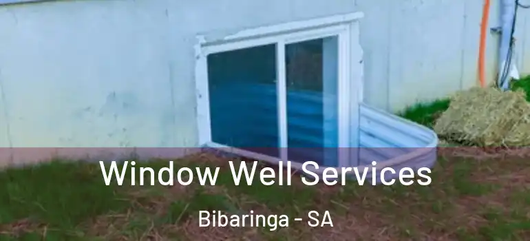 Window Well Services Bibaringa - SA