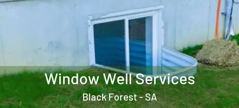 Window Well Services Black Forest - SA