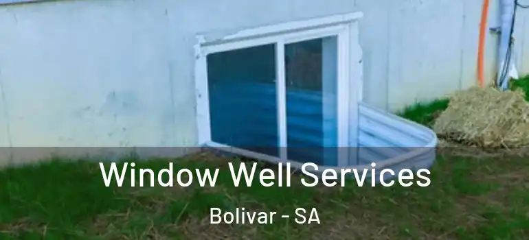 Window Well Services Bolivar - SA
