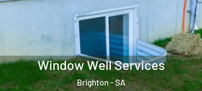 Window Well Services Brighton - SA