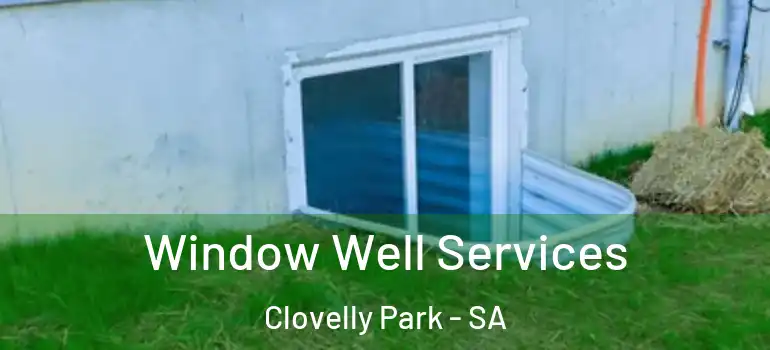 Window Well Services Clovelly Park - SA