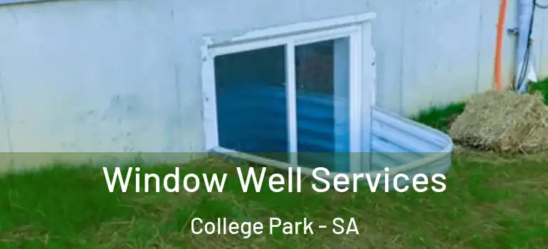 Window Well Services College Park - SA