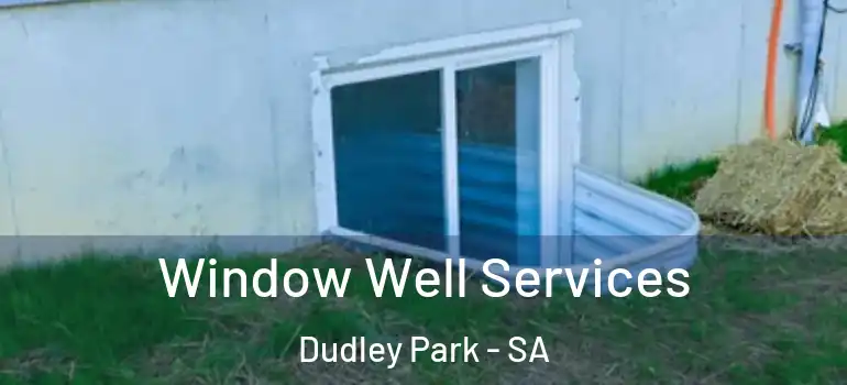 Window Well Services Dudley Park - SA