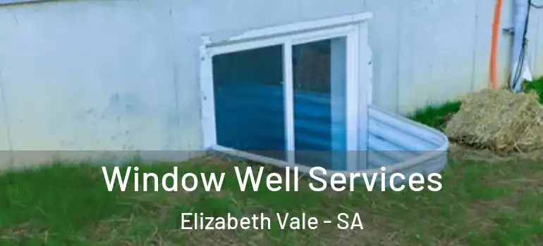 Window Well Services Elizabeth Vale - SA