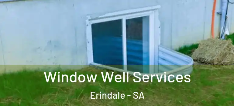 Window Well Services Erindale - SA