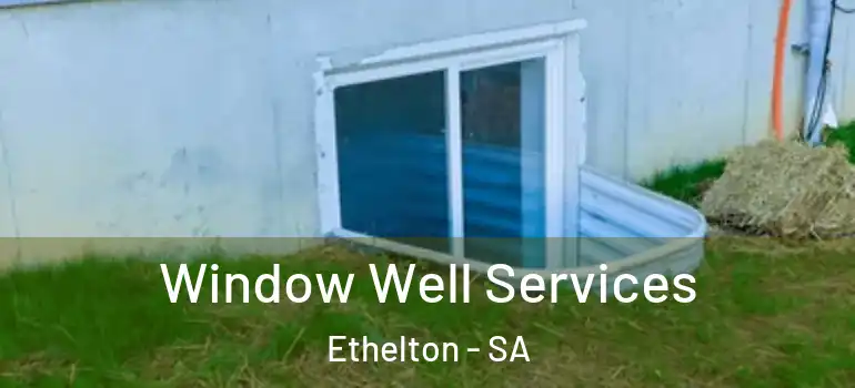 Window Well Services Ethelton - SA