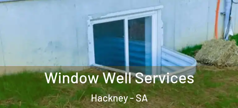 Window Well Services Hackney - SA