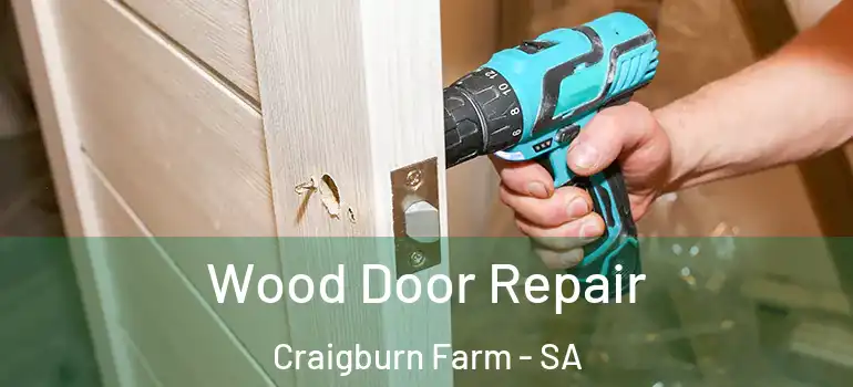 Wood Door Repair Craigburn Farm - SA