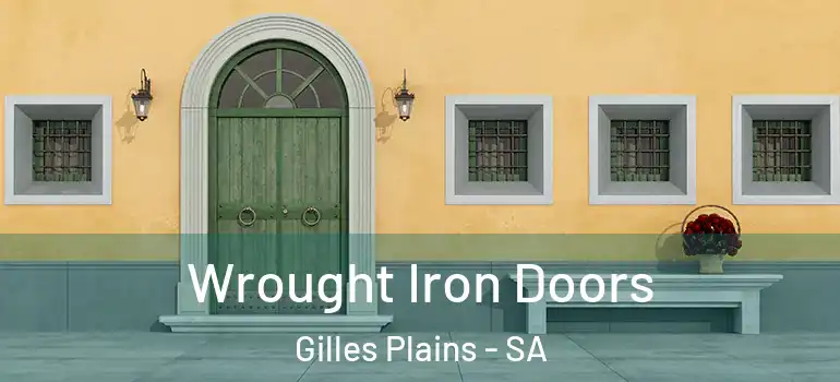 Wrought Iron Doors Gilles Plains - SA